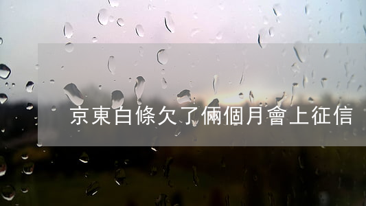 京東白條欠了倆個月會上征信