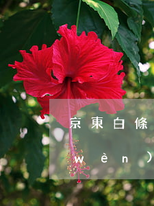 京東白條欠了兩年了有沒(méi)有問(wèn)題(欠京東白條兩千塊逾期三年了)