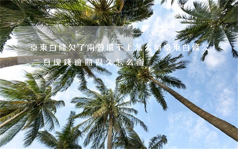 京東白條欠了兩百還不上怎么辦(京東白條欠二百塊錢逾期很久怎么辦)