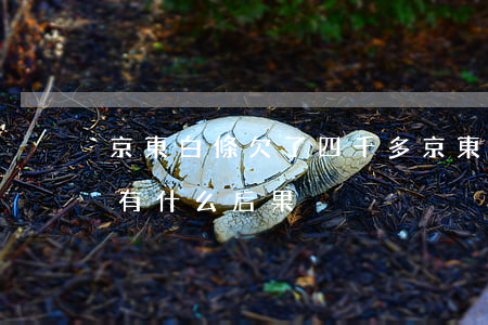 京東白條欠了四千多(京東白條欠兩千多塊錢有什么后果)