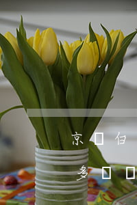 京東白條欠了幾十塊錢沒還(京東白條欠兩千多塊錢有什么后果)