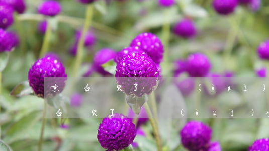 京東白條欠了幾萬會(huì)坐牢嗎(京東白條欠了幾萬會(huì)坐牢嗎)