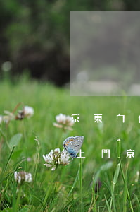 京東白條欠了會(huì)不會(huì)上門(京東白條欠了會(huì)不會(huì)上門)