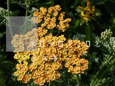 京東白條欠了錢怎么辦(京東白條欠一分錢怎么回事)