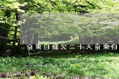 京東白條欠二十天(京東白條十幾天沒還)