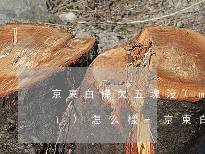 京東白條欠五塊沒(méi)還款會(huì)怎么樣-京東白條欠五塊沒(méi)還款會(huì)怎么樣嗎