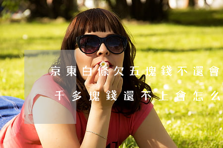 京東白條欠五塊錢不還會怎樣(欠京東白條一千多塊錢還不上會怎么樣?)