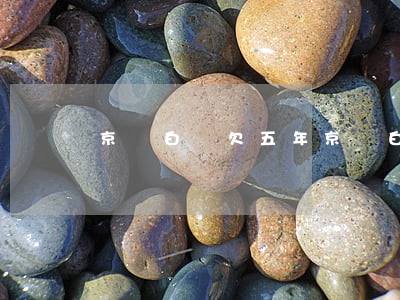 京東白條欠五年(京東白條欠五年沒還)