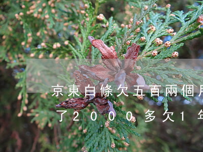 京東白條欠五百兩個月不還上門(京東白條欠了2000多欠1年多了會上門嗎)