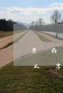 京東白條欠兩個(gè)月會(huì)怎么樣(京東白條一個(gè)月不還有什么后果)