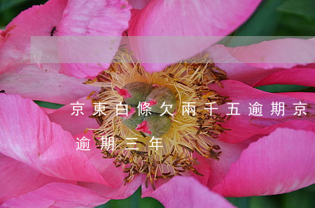 京東白條欠兩千五逾期(京東白條欠款一萬多逾期三年)