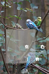 京東白條欠八塊錢(qián)沒(méi)有還上征信嗎(京東白條欠多少上征信)