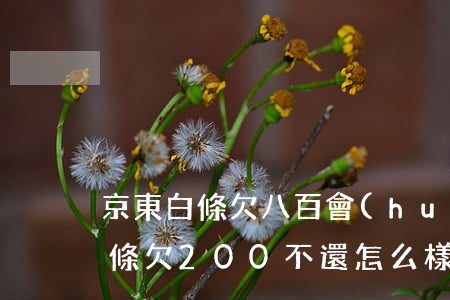 京東白條欠八百會(huì)怎么樣(京東白條欠200不還怎么樣)