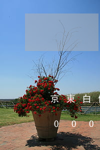 京東白條欠八萬會有什么后果(欠京東白條5000多80天后果嚴(yán)重嗎)