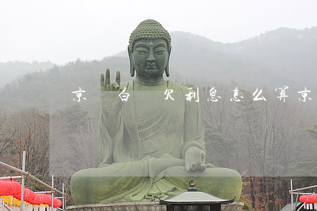 京東白條欠利息怎么算(京東白條利息怎樣算)