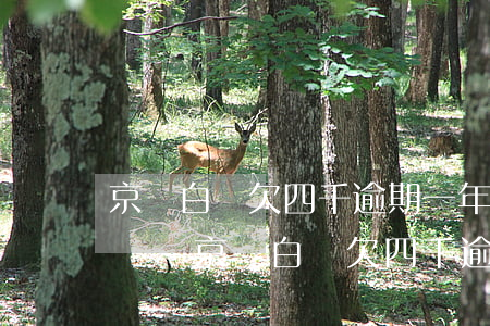 京東白條欠四千逾期一年會(huì)上門嗎-京東白條欠四千逾期一年會(huì)上門嗎知乎