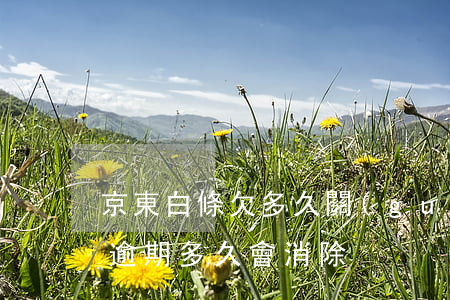 京東白條欠多久關(guān)閉(京東白條逾期多久會消除)