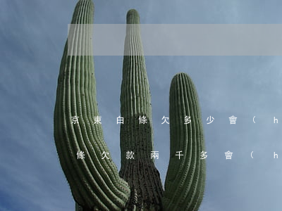 京東白條欠多少會(huì)被起訴(京東白條欠款兩千多會(huì)被起訴么)