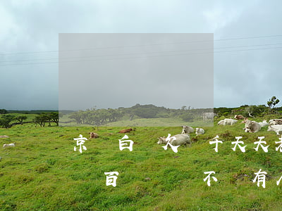 京東白條欠幾千天天老說要上門(京東白條欠幾百塊錢會不會有人上門?)