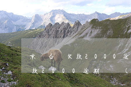 京東白條欠款2000逾期2年(京東白條欠款2000逾期兩個(gè)月會(huì)被起訴嗎)