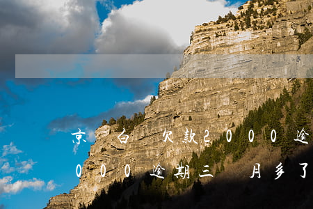 京東白條欠款2000逾期(京東白條欠款2000逾期三個月多了會被起訴嗎)