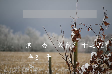 京東白條欠款2千逾期2年(京東白條逾期1年2千)