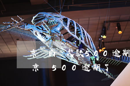 京東白條欠款500逾期兩個月會被起訴嗎（京東500逾期了）