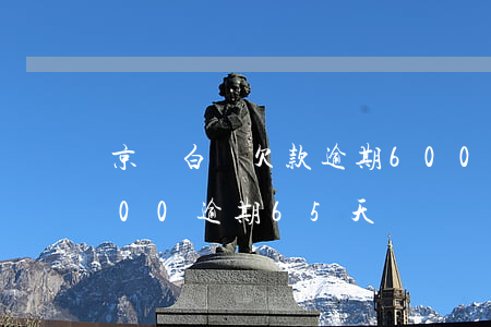 京東白條欠款逾期600天（京東白條借款600逾期65天）