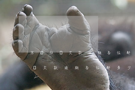 京東白條欠款逾期各位都多少天了-京東白條欠款逾期各位都多少天了怎么辦