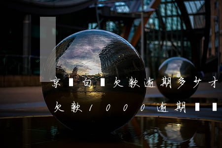 京東白條欠款逾期多少才會被起訴(京東白條欠款1000逾期兩個月會被起訴嗎)