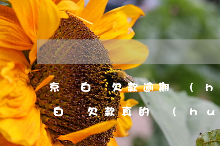 京東白條欠款逾期會(huì)上門嗎(京東白條欠款真的會(huì)上門?)
