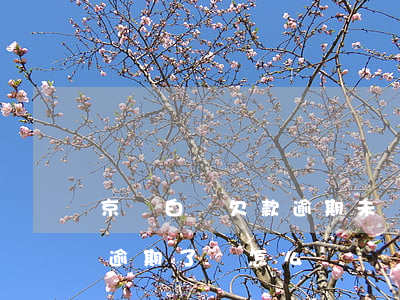 京東白條欠款逾期未還怎么辦(京東白條欠款逾期了會怎么樣)