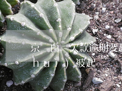 京東白條欠款逾期要起訴(京東白條逾期會(huì)被起訴)