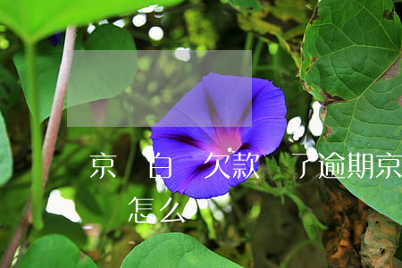 京東白條欠款還了逾期(京東白條欠款逾期了會怎么樣)
