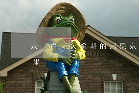 京東白條欠逾期的后果(京東白條欠逾期的后果)
