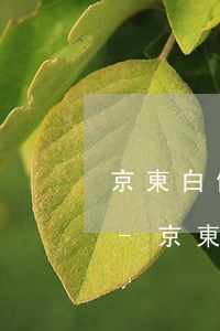 京東白條每月什么時(shí)候是還款日-京東白條每月什么時(shí)候是還款日啊