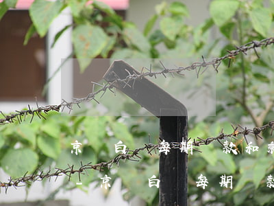 京東白條每期還款和剩余待還區(qū)別-京東白條每期還款和剩余待還區(qū)別在哪