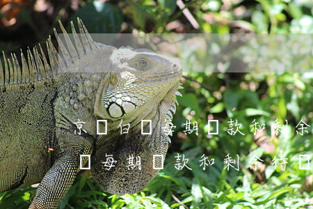 京東白條每期還款和剩余待還金額-京東白條每期還款和剩余待還金額一樣嗎