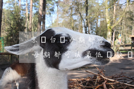 京東白條每期都可以最低還款嗎-京東白條每期都可以最低還款嗎安全嗎