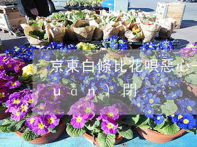 京東白條比花唄惡心-京東白條怎么關(guān)閉