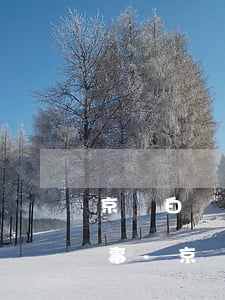 京東白條沒(méi)有逾期被降額怎么回事-京東白條沒(méi)有逾期被降額怎么回事啊