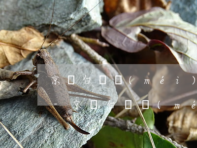 京東白條沒(méi)有銀行卡怎么還款呀-京東白條沒(méi)有銀行卡怎么還款呀怎么回事