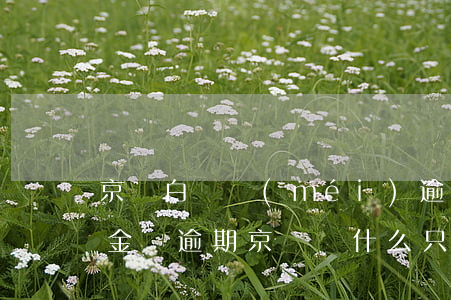 京東白條沒(méi)逾期但是被催收(白條金條逾期京東為什么只催收不起訴)