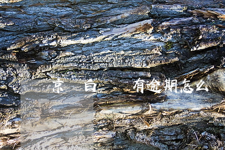 京東白條沒有逾期怎么還打電話-