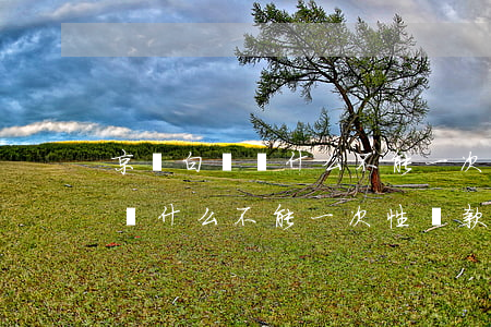 京東白條為什么不能一次性還款-京東白條為什么不能一次性還款了