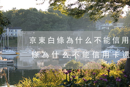 京東白條為什么不能信用卡還款了-京東白條為什么不能信用卡還款了呢