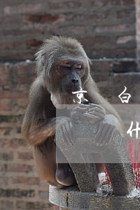 京東白條為什么不能用支付寶還款-京東白條為什么不能用支付寶還款了