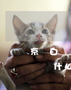 京東白條為什么提前還款降額度啊-京東白條為什么提前還款降額度啊怎么回事