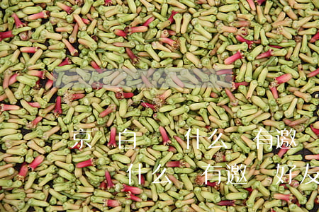 京東白條為什么沒有邀請好友還款-京東白條為什么沒有邀請好友還款功能