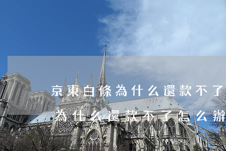 京東白條為什么還款不了怎么辦-京東白條為什么還款不了怎么辦呢